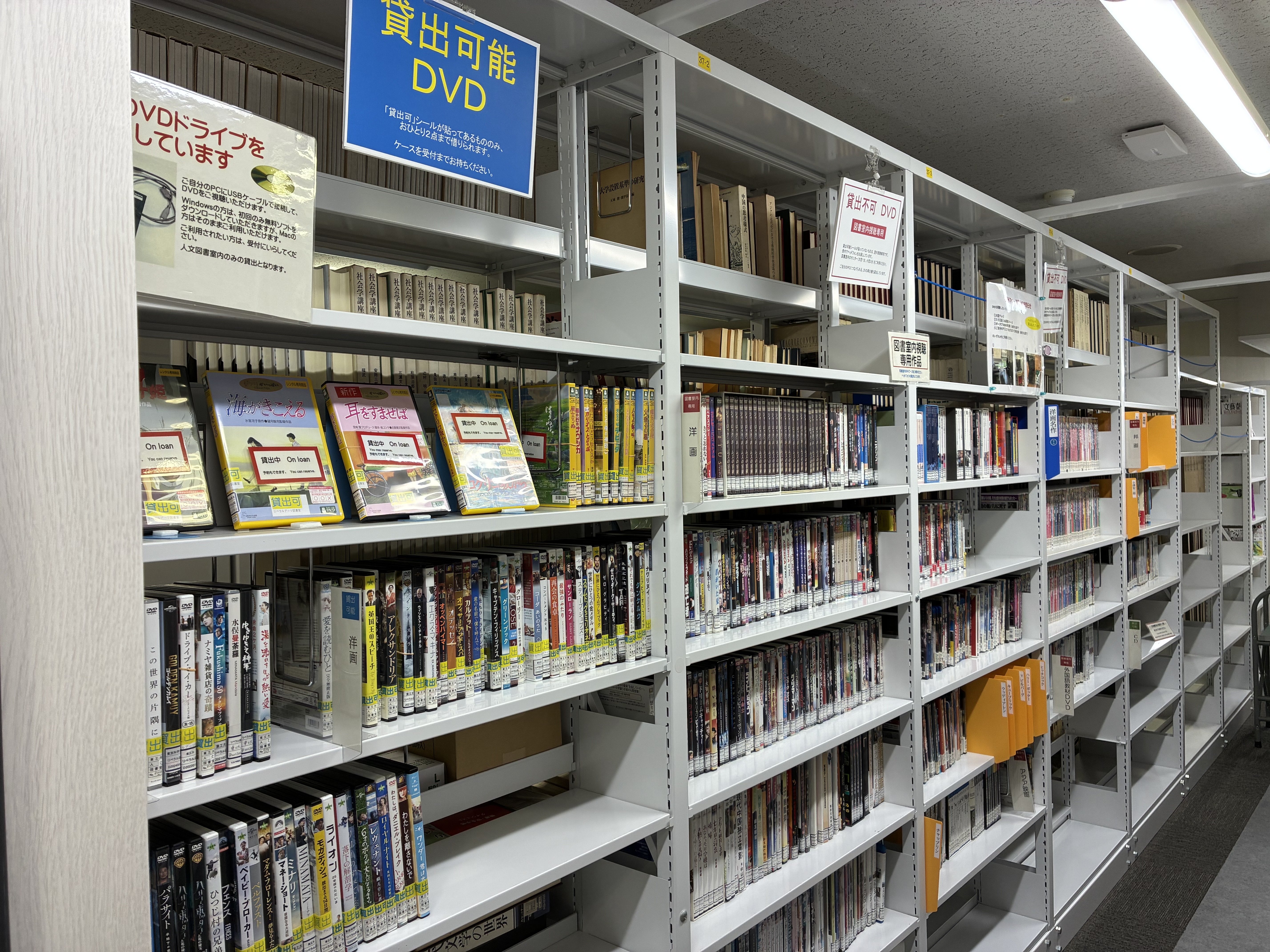 DVDコーナー